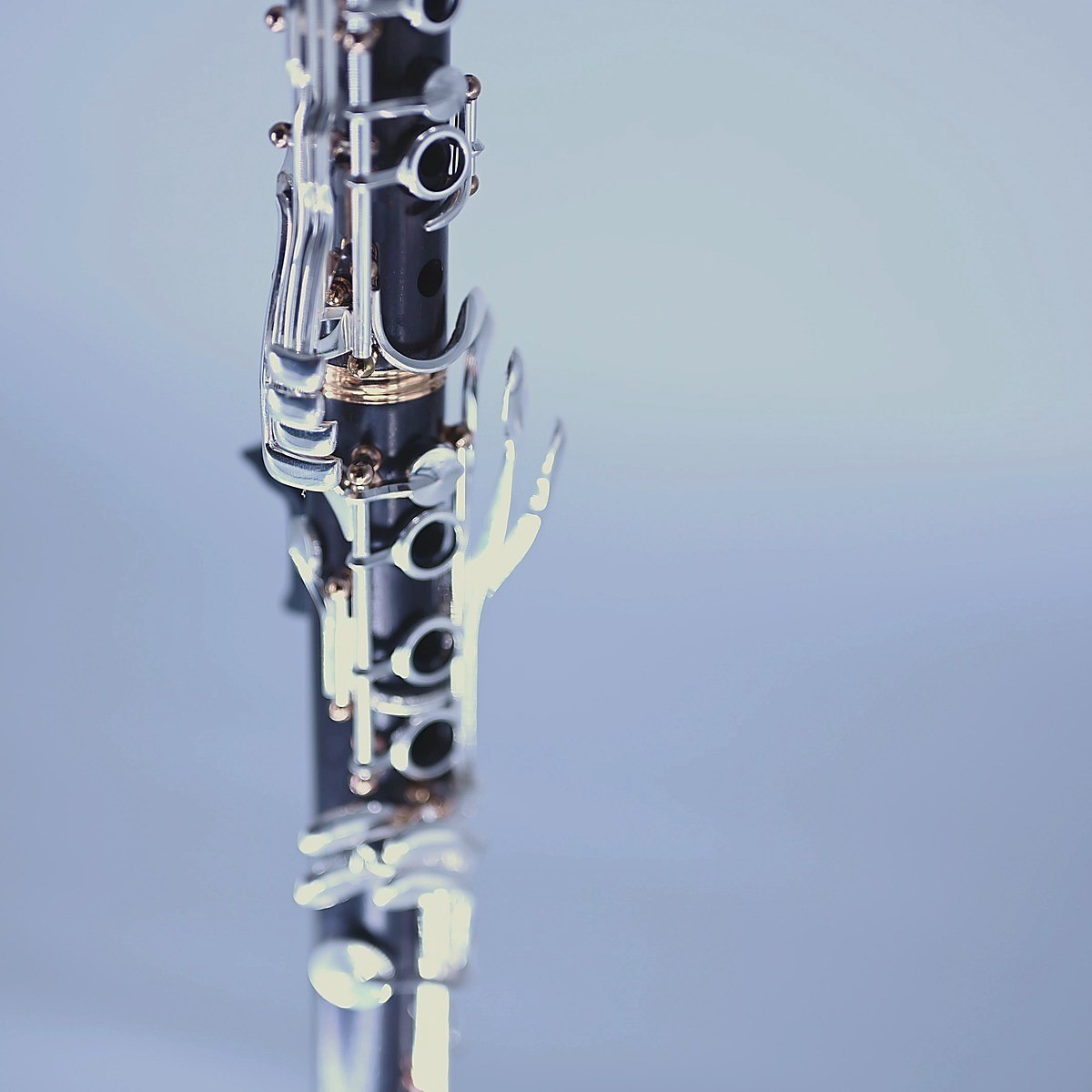 JazzMaxx G87 mit Rosegold-B&ouml;cken