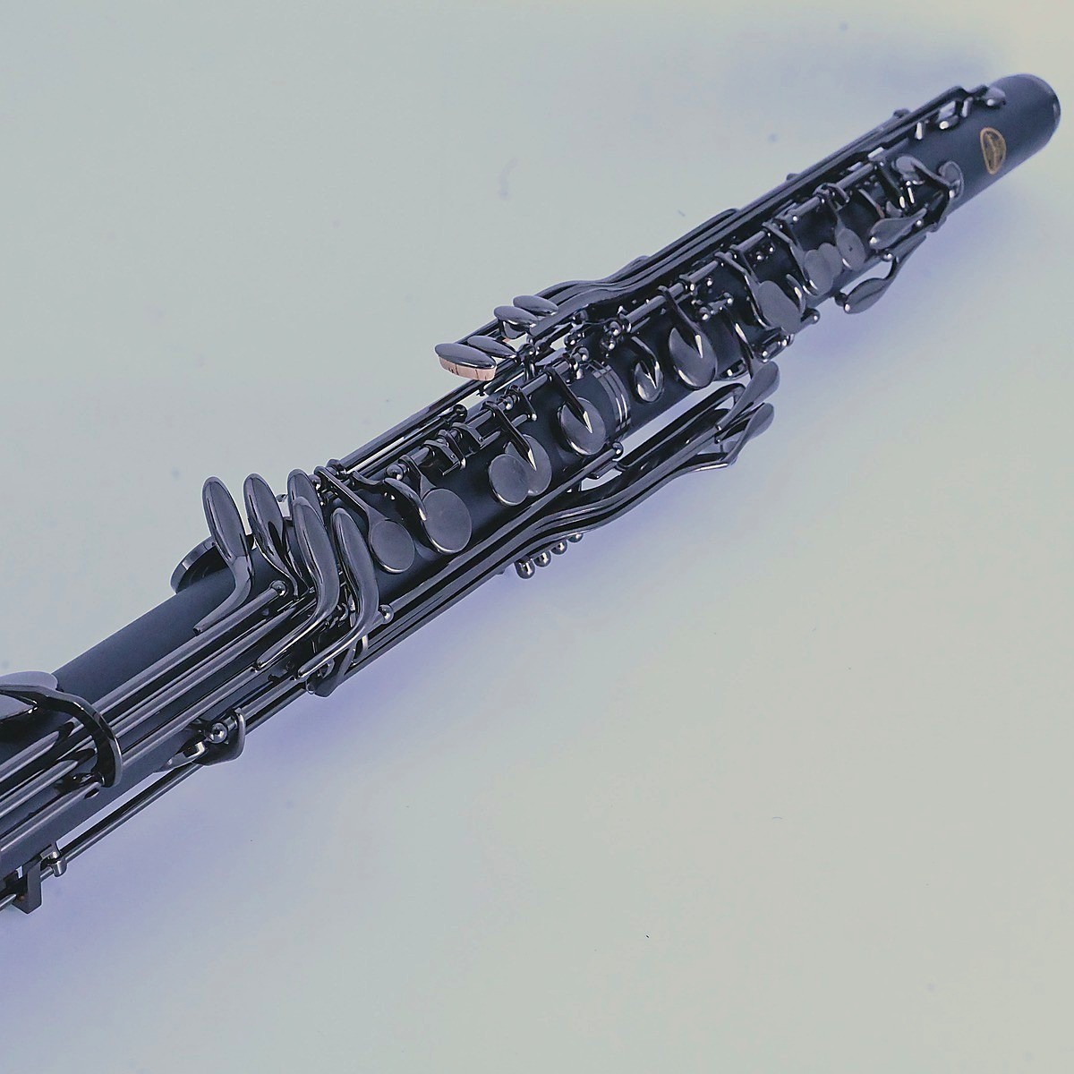 BlackBeauty V2 liegend